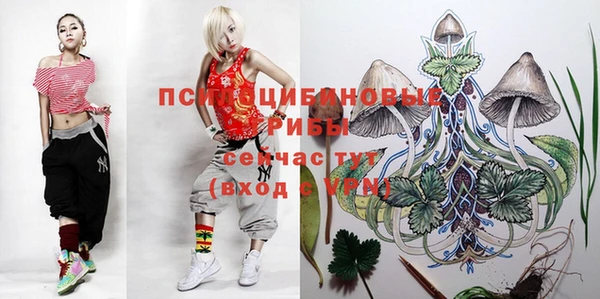 мескалин Абаза