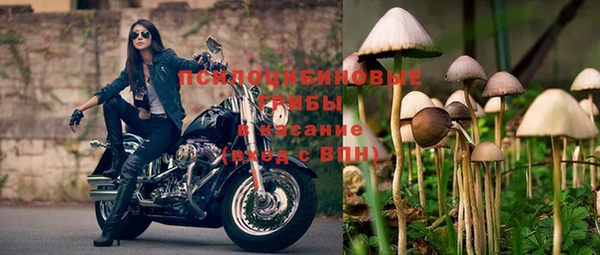 амфетамин Новозыбков