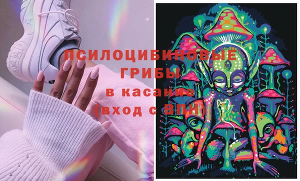 мескалин Абаза